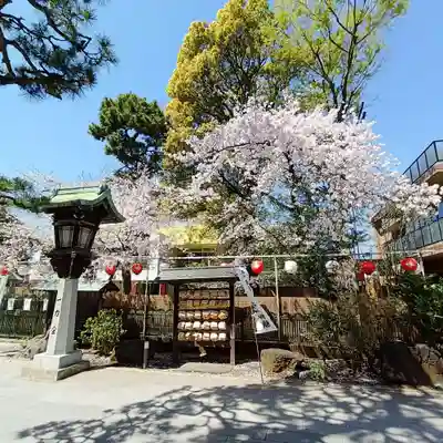 桜神宮(東京都)