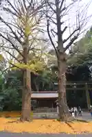 明治神宮(東京都)