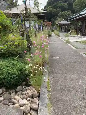青蓮寺のその他建物