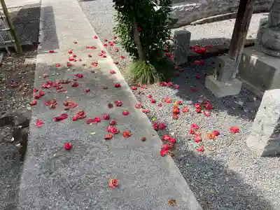 満願寺(栃木県)