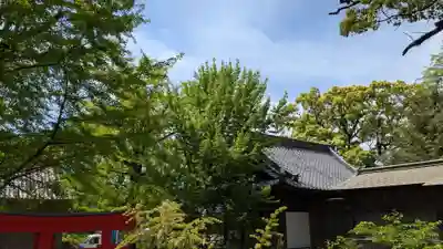 松榮神社の自然