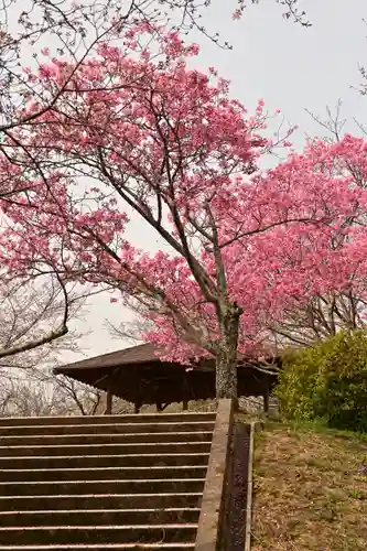 理正院(愛媛県)