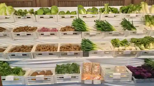 明治神宮(東京都)