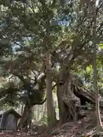 稲荷神社(茨城県)