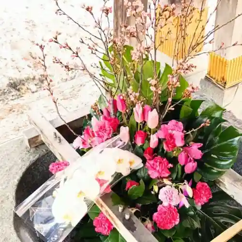 彌彦神社　(伊夜日子神社)の手水舎