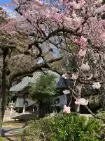 春日神社(福島県)