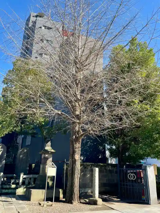 観音寺の{uncategorized: "未分類", other: "その他", undefined: "問題あり", building: "その他建物", grave: "お墓", sacred_gate: "鳥居", guardian: "狛犬", statue: "像", buddha: "仏像", history: "歴史", nature: "自然", garden: "庭園", animal: "動物", pagoda: "塔", temizu: "手水舎", mountain_gate: "山門・神門", sanctuary: "本殿・本堂", subordinate: "末社・摂社", art: "芸術", scenery: "景色", jizo: "地蔵", ema: "絵馬", goshuin: "御朱印", omikuji: "おみくじ", items: "授与品その他", amulet: "お守り", goshuincho: "御朱印帳", eats: "食事", festival: "お祭り", votive_dance: "神楽", shichigosan: "七五三参", wedding: "結婚式", experience: "体験その他", initially: "初詣", around: "周辺", anti_infection: "感染症対策"}
