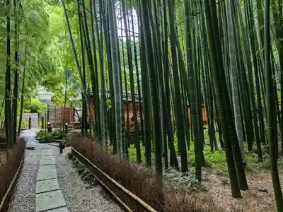 報国寺(神奈川県)
