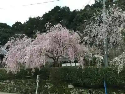 大野寺(奈良県)