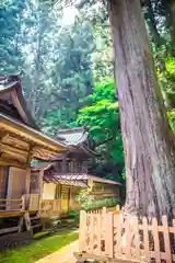 大中神社(茨城県)