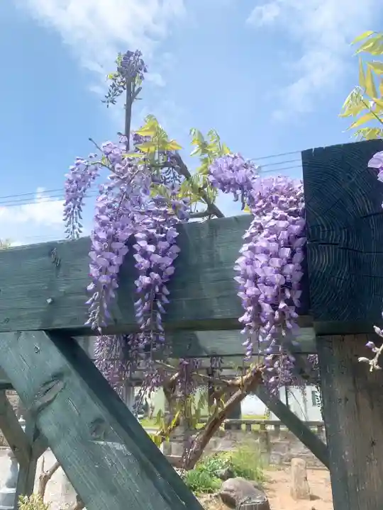 仁玄寺(北海道)