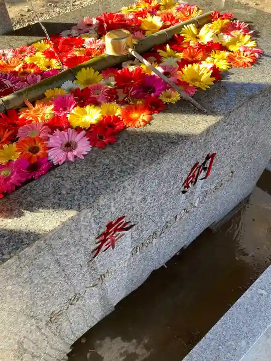 長沼八幡宮(栃木県)