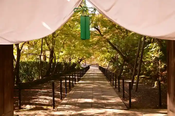 光明寺(粟生光明寺)(京都府)