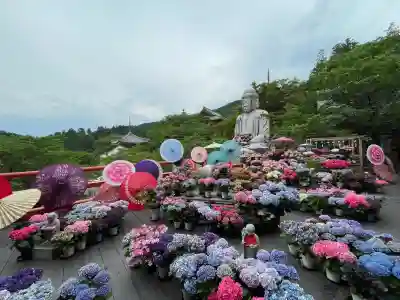 南法華寺（壷阪寺）(奈良県)
