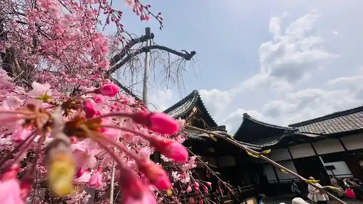 醍醐寺(京都府)