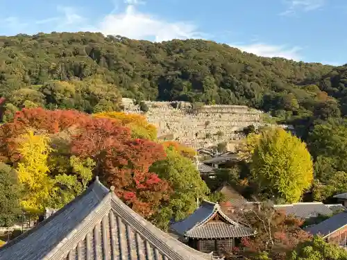 大雲院(京都府)