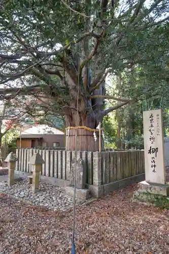 熊野速玉大社(和歌山県)