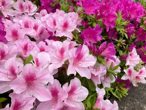 根津神社(東京都)