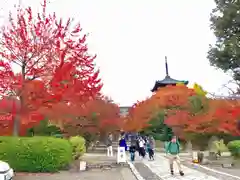 真正極楽寺（真如堂）の建物その他