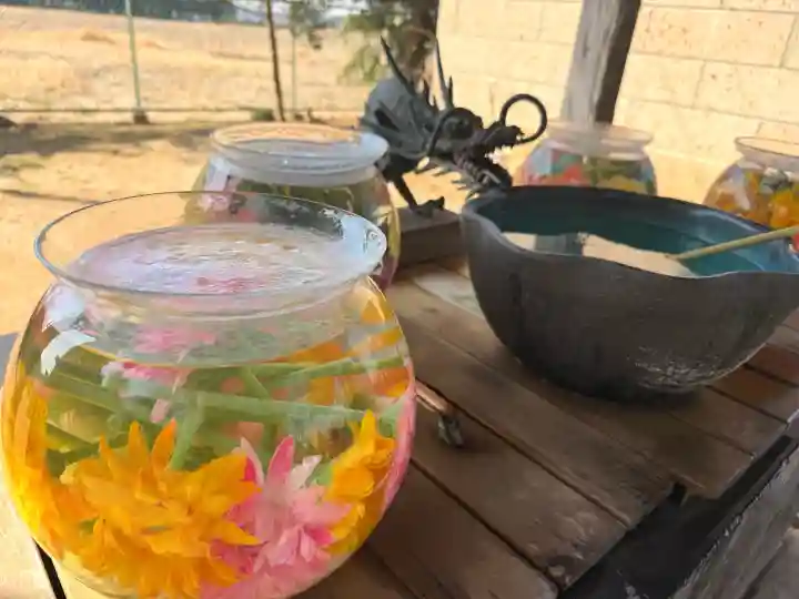 素鵞神社の{uncategorized: "未分類", other: "その他", undefined: "問題あり", building: "その他建物", grave: "お墓", sacred_gate: "鳥居", guardian: "狛犬", statue: "像", buddha: "仏像", history: "歴史", nature: "自然", garden: "庭園", animal: "動物", pagoda: "塔", temizu: "手水舎", mountain_gate: "山門・神門", sanctuary: "本殿・本堂", subordinate: "末社・摂社", art: "芸術", scenery: "景色", jizo: "地蔵", ema: "絵馬", goshuin: "御朱印", omikuji: "おみくじ", items: "授与品その他", amulet: "お守り", goshuincho: "御朱印帳", eats: "食事", festival: "お祭り", votive_dance: "神楽", shichigosan: "七五三参", wedding: "結婚式", experience: "体験その他", initially: "初詣", around: "周辺", anti_infection: "感染症対策"}