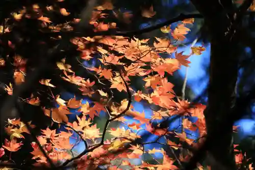 菅船神社の自然