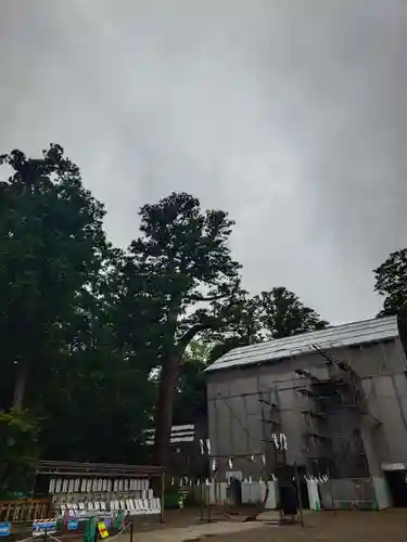 鹿島神宮(茨城県)