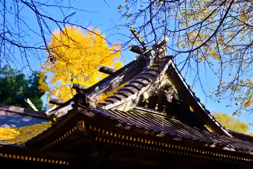 玉敷神社(埼玉県)