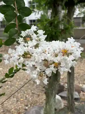 多田幸寺の自然
