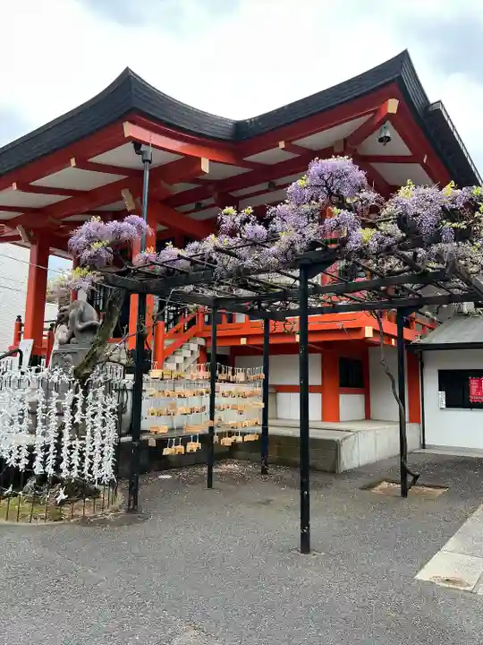 善國寺(東京都)