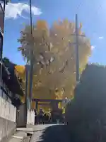 丹生酒殿神社(和歌山県)