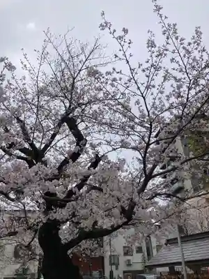 今戸神社(東京都)