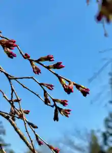 蚊里田八幡宮(長野県)(2025年04月05日(土) 17時11分12秒投稿)