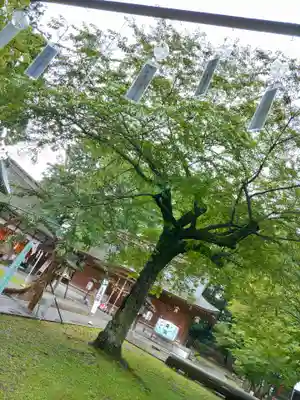 駒形神社(岩手県)