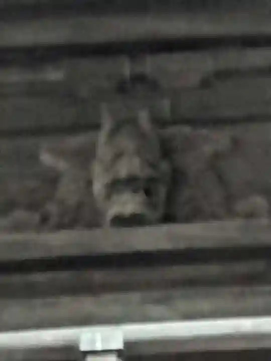 誕生寺(千葉県)