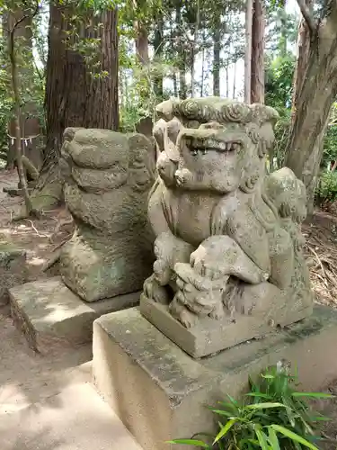 鶴峯八幡宮の狛犬