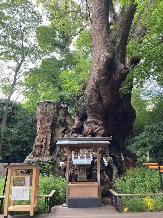 來宮神社(静岡県)