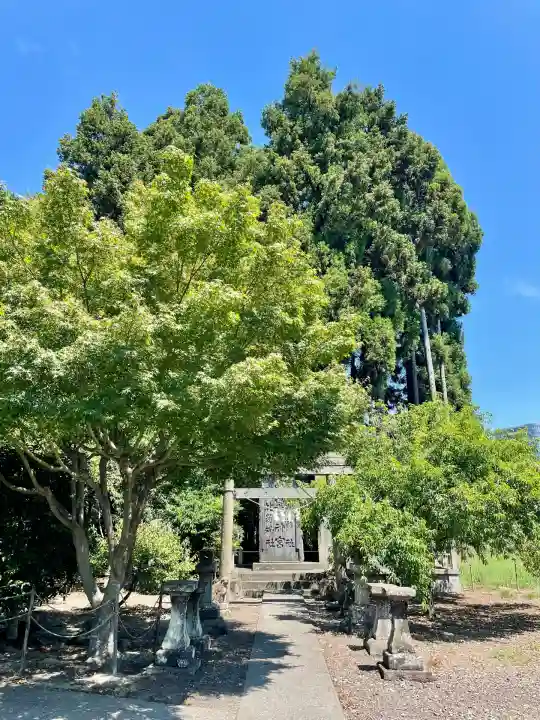 中田神社(宮城県)