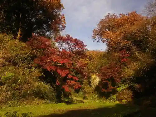 回春院の庭園