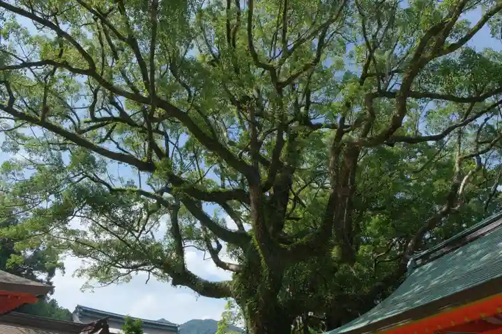 熊野那智大社の自然