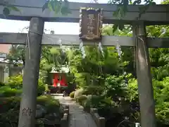 天祖諏訪神社の鳥居