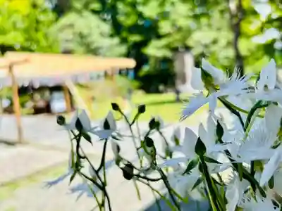 土津神社｜こどもと出世の神さまのその他建物