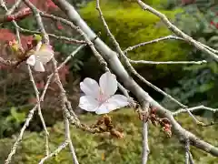 西明寺(滋賀県)