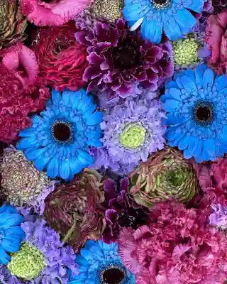 彌都加伎神社(三重県)