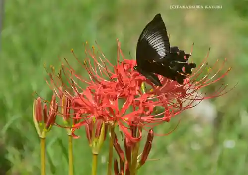 宝城坊(神奈川県)