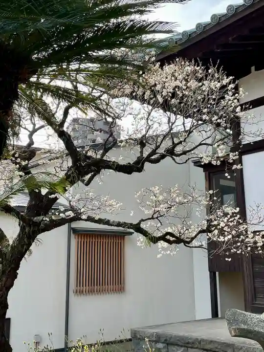 福泉寺(神奈川県)