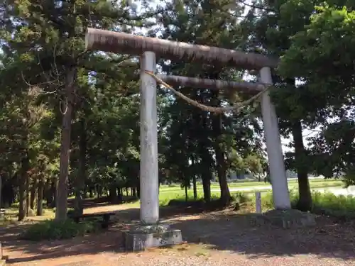 桜町二宮神社の鳥居