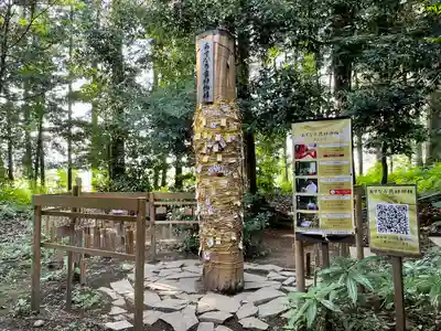 下野 星宮神社(栃木県)