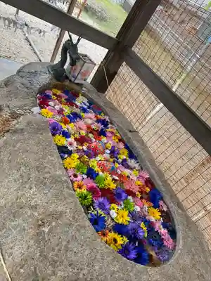 金井神社の手水舎