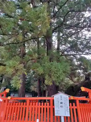 香椎宮(福岡県)