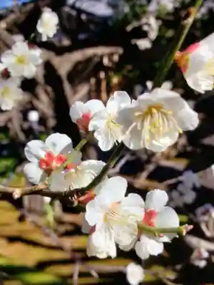 常性寺(東京都)
